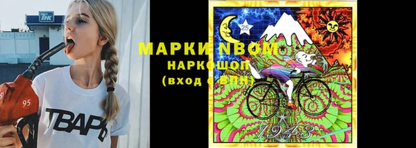 крисы Новодвинск
