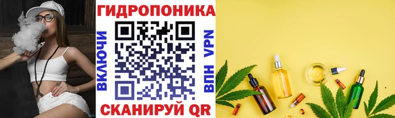 где купить наркоту  Зеленокумск  Марихуана сатива 